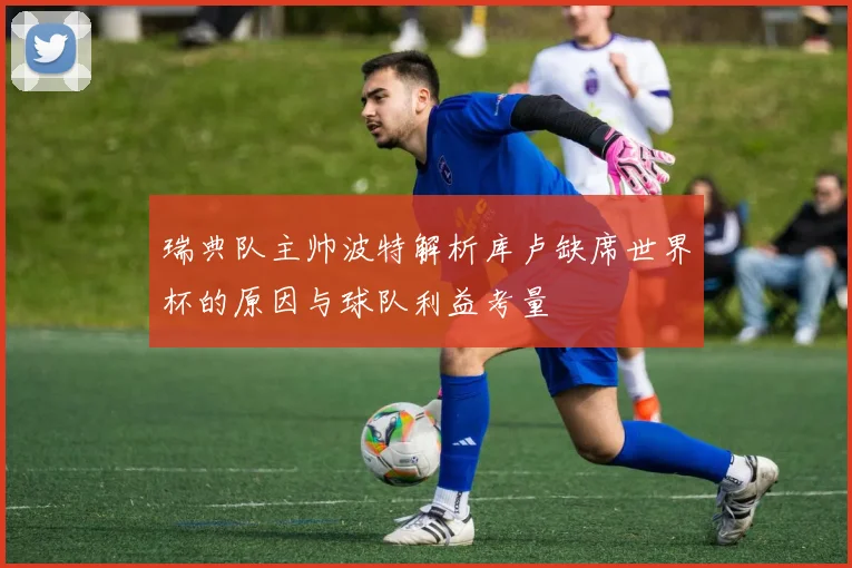 瑞典队主帅波特解析库卢缺席世界杯的原因与球队利益考量