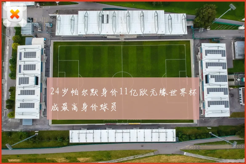 24岁帕尔默身价11亿欧无缘世界杯成最高身价球员