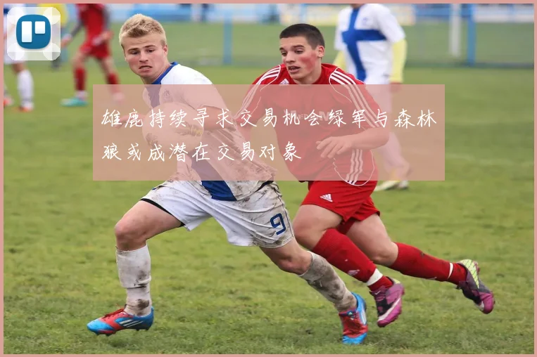 雄鹿持续寻求交易机会绿军与森林狼或成潜在交易对象