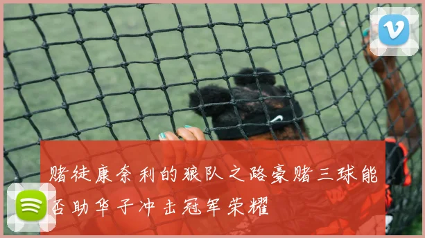 赌徒康奈利的狼队之路豪赌三球能否助华子冲击冠军荣耀